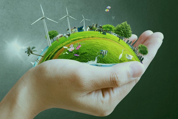 IdeasUPV | Emprender en verde