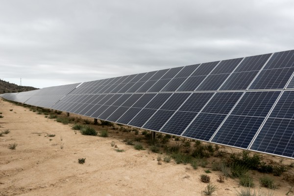 Solaer logra el sí del Consell para sus 43 MW en Monforte, a esperas de la evacuación compartida