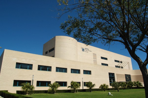 El contencioso de Medicina puede durar años, la UMH pide paralizar la matriculación y la UA insiste: ya hay un auto