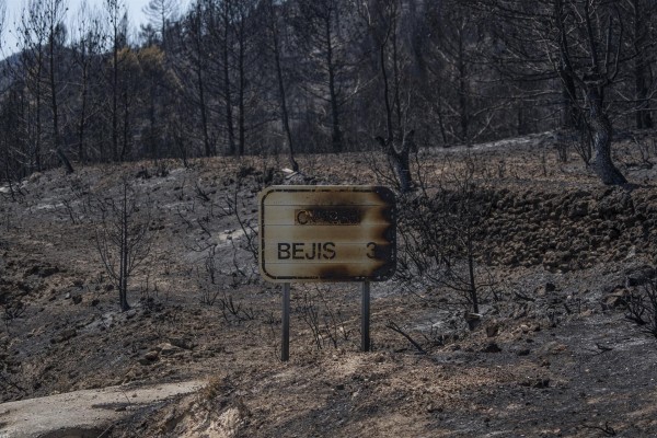 Turisme otorga 1,3 millones en ayudas a los afectados por los incendios del verano pasado