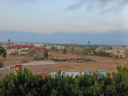 Así están los sectores en desarrollo en Elche: dos en ejecución y varios pendientes del palmeral o en trámite