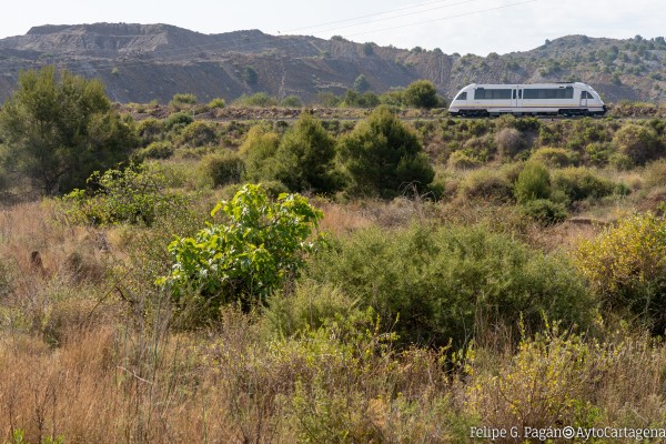 Arroyo le echa un cable a los ciclistas y pide a Renfe que deje subir bicicletas al tren de Los Nietos 