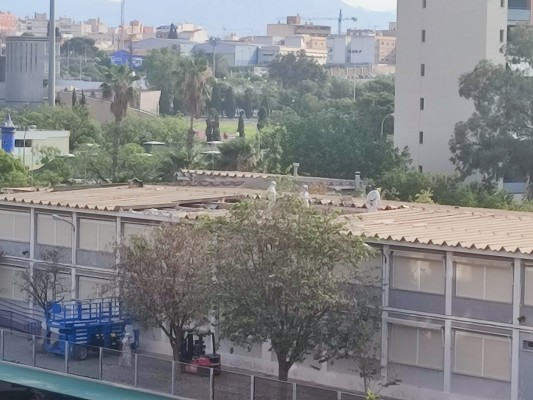 Educación activa la retirada de amianto en cuatro centros de Alicante tras dos años de bloqueo 