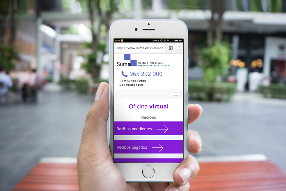 Se vende piso en Elche por 27.300 euros, libre de cargas. Razón: Suma