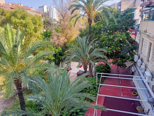 El centro de Fundación Salud Infantil de Elche en la ladera desalojado por peligro de derrumbe 