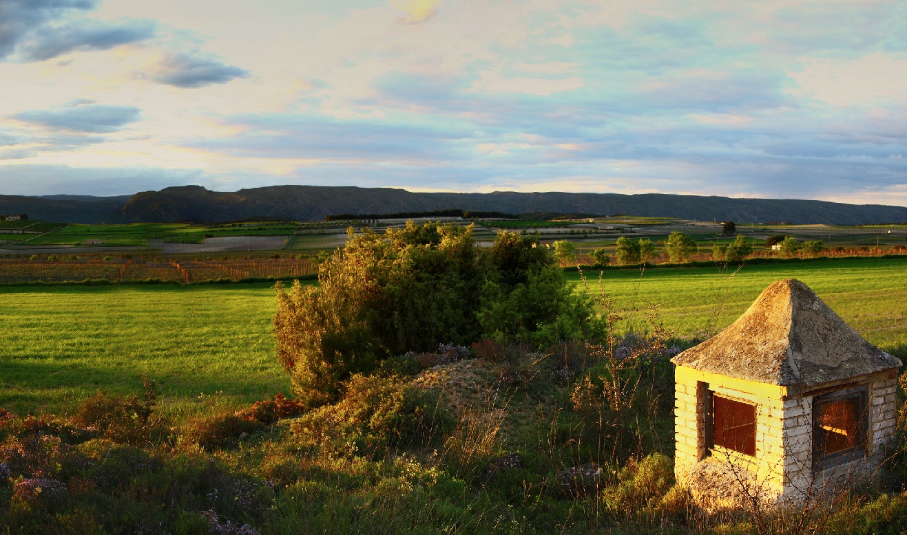 'Brass and Wines': música con sabor a vino