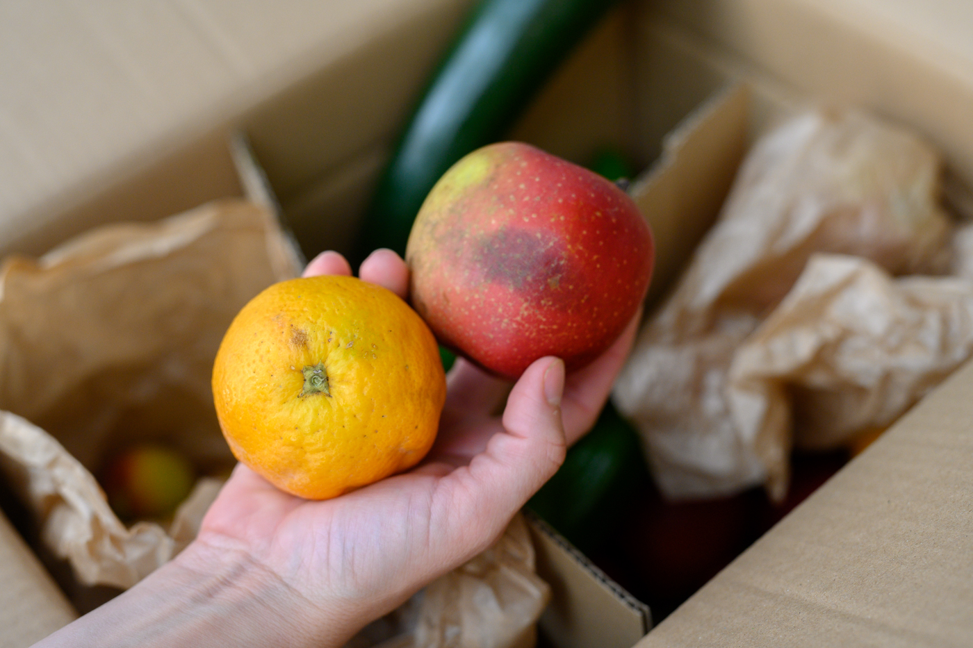 LA cesta de frutas y verduras de Bene Bono. Foto: KIKE TABERNER - 