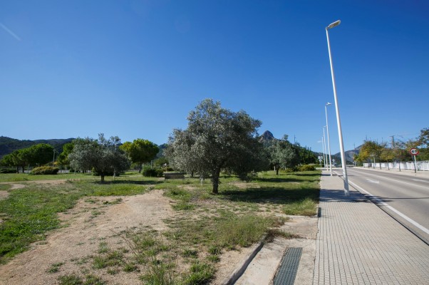 Gandia afianza el proyecto del Centro Integrado de FP: la GVA delega las competencias de ejecución