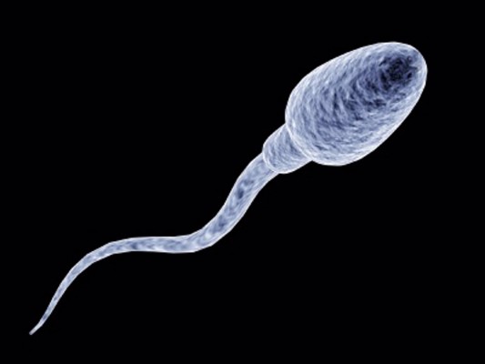 La calidad del semen de los hombres que han sufrido covid-19 puede disminuir a largo plazo