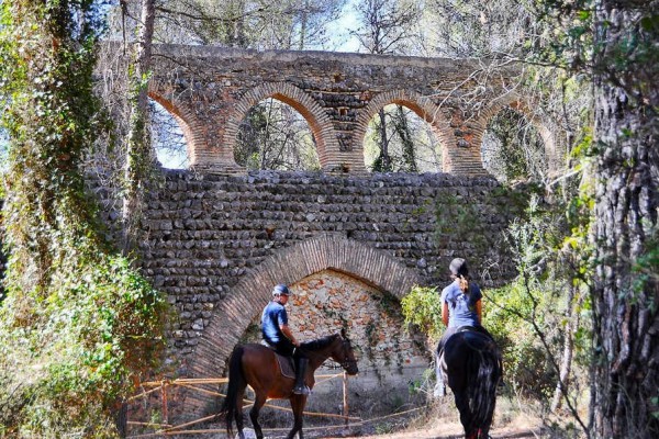 Turismo quiere dar un impulso al producto ecuestre con la creación de una marca