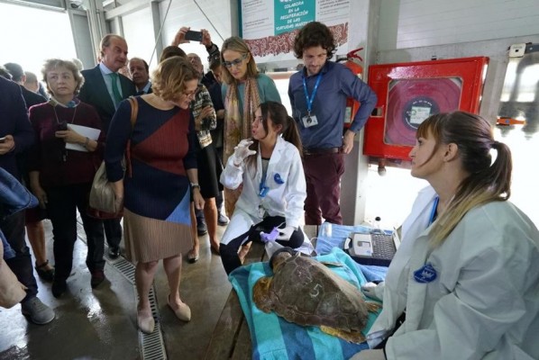 Nace la Fundación Oceanogràfic para proteger el mar desde la investigación