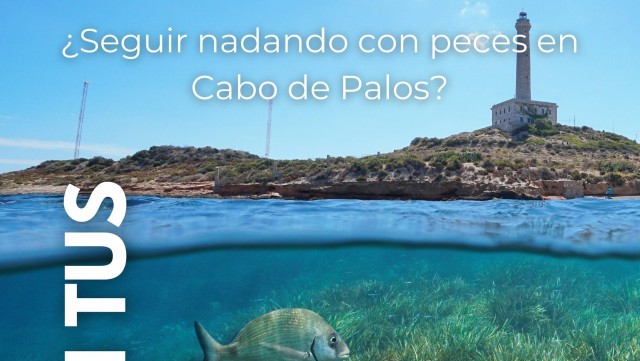 La Mancomunidad de los Canales del Taibilla anima al consumo responsable de agua en su nueva campaña