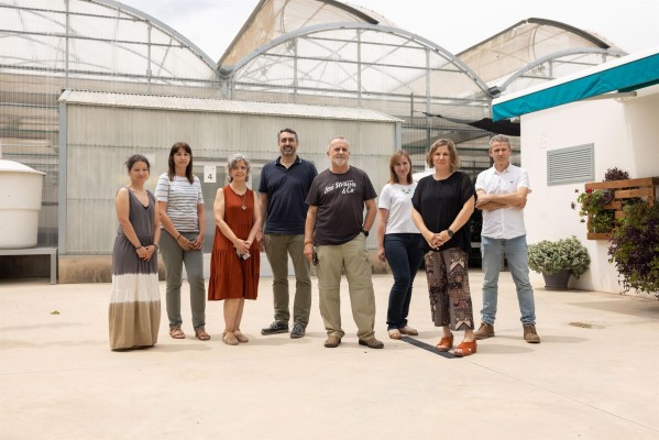 Estudios de la UJI mejoran la resistencia en plantas y el uso de aguas residuales sin contaminantes