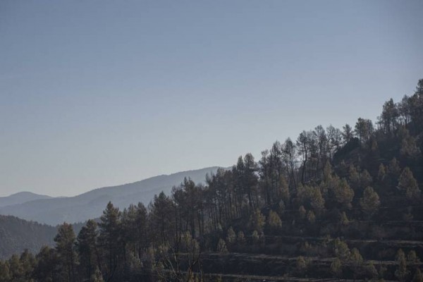 Senderistas recorrerán 14 kilómetros de monte quemado en el Alto Mijares para crear conciencia
