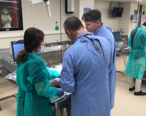 Cartagena reúne a los mayores expertos en cirugía oral, maxilofacial, de cabeza y cuello de España