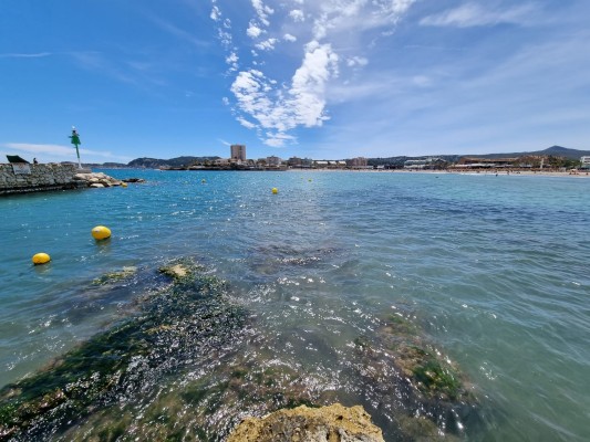 La playa del Arenal de Xàbia obtiene la Bandera Negra por contaminación que otorga Ecologistas en Acción

