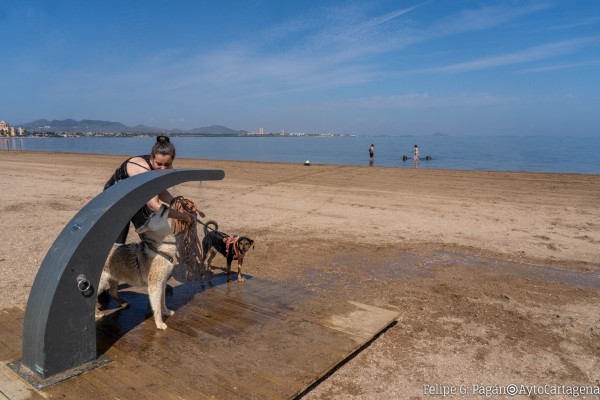Listas las playas caninas de La Calera, Las Salinas y Lengua de la Vaca, que contarán también con lavaperros