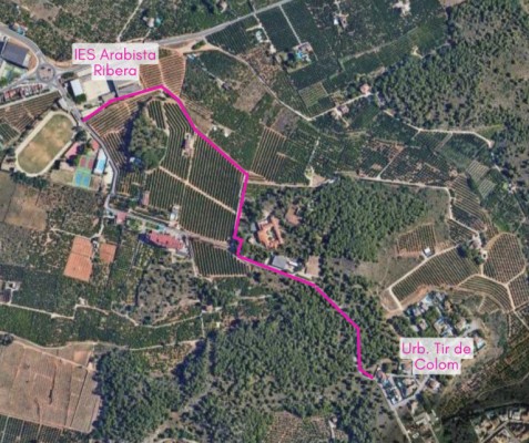 Finaliza la redacción del proyecto que conectará Carcaixent con los caminos del Realenc