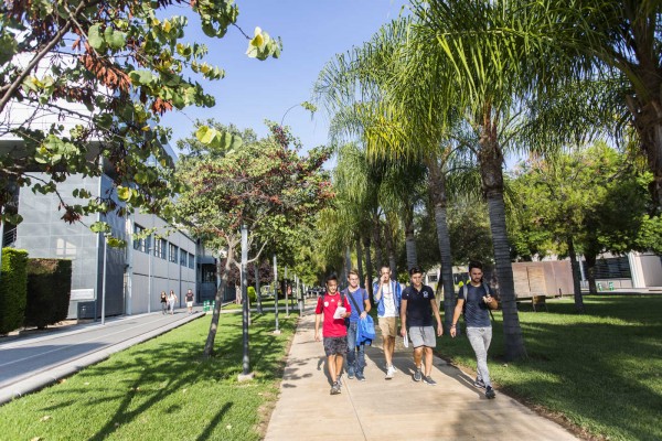 Educación planea adaptar las tasas universitarias a la renta familiar