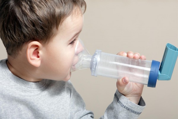 Más de 65.000 niños valencianos tienen alergia y 34.963 padecen asma, según un estudio de Separ
