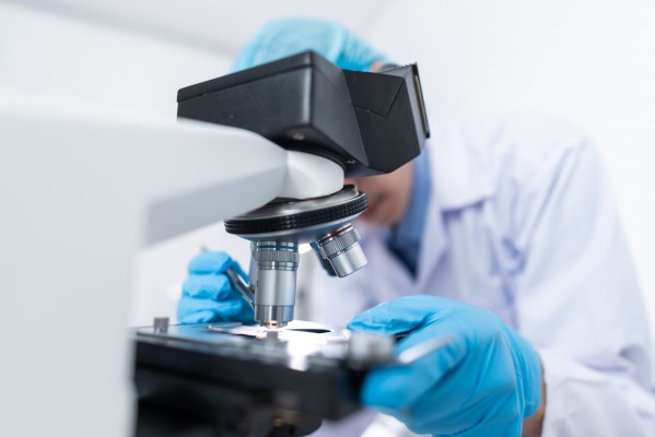 Biotecnología valenciana: reprogramar plantas para producir carne cultivada vegana