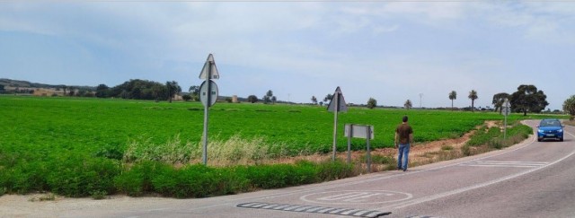 Margalló pide al nuevo Ejecutivo de Elche la suspensión cautelar de las solares y ampliar la red ciclista