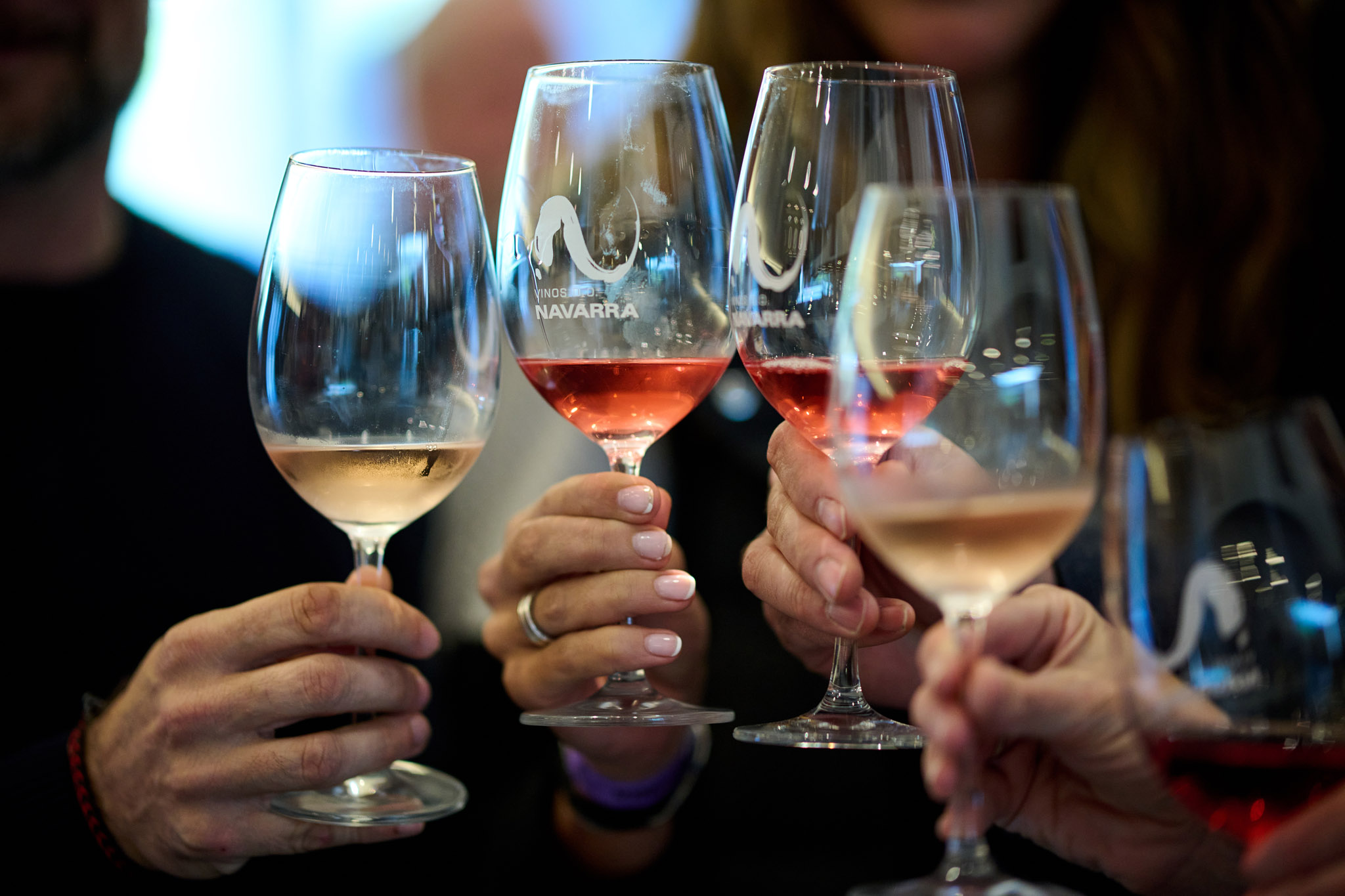 Foto: Vinos D.O. Navarra  - 