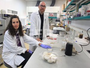 De crisis migratoria a crisis institucional en la UE