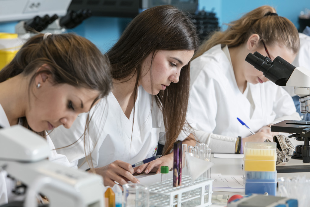  

La Facultad de Ciencias de la Salud del CEU UCH, primera de la Comunitat con sello Audit ANECA  