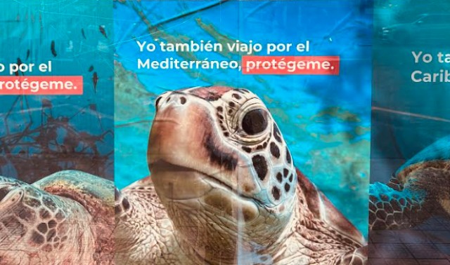 La Fundación Oceanogràfic y Transvia-Mucho más que viajes, se unen en pro de la conservación de las tortugas marinas