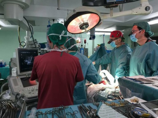 La Región despunta en trasplantes: solo el 13% de los pacientes se niegan a donar órganos
