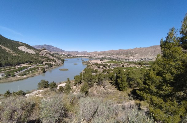La CHS 'vigila' las algas que pudieran afectar a la calidad del agua de los embalses de la cuenca