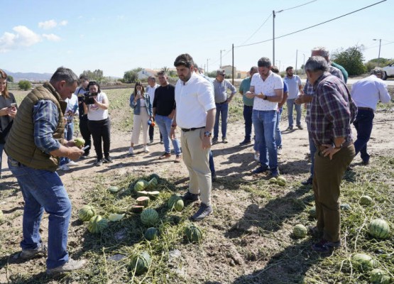 Los daños por tormentas en la Región superan los 47 millones de euros