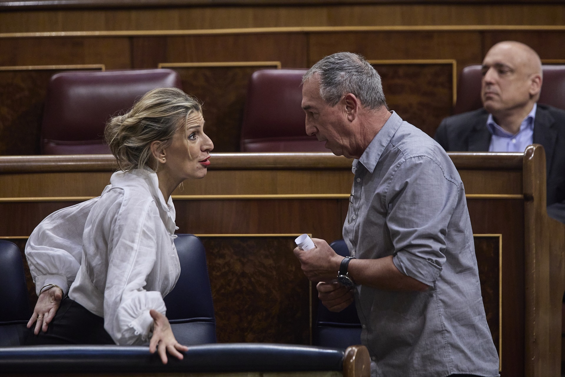 La líder de Sumar, Yolanda Díaz, y el exportavoz de Compromís en el Congreso, Joan Baldoví. Foto: EP/Jesús Hellín - 