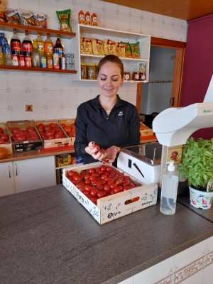 El origen del planeta del tomate: El Perellonet, El Perelló y Mareny