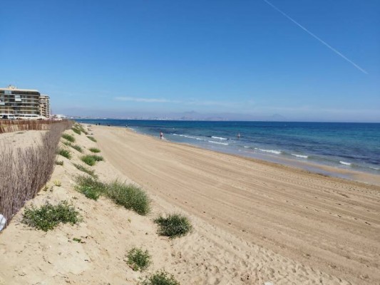 Comienza el servicio de socorrismo diario en las playas de Elche