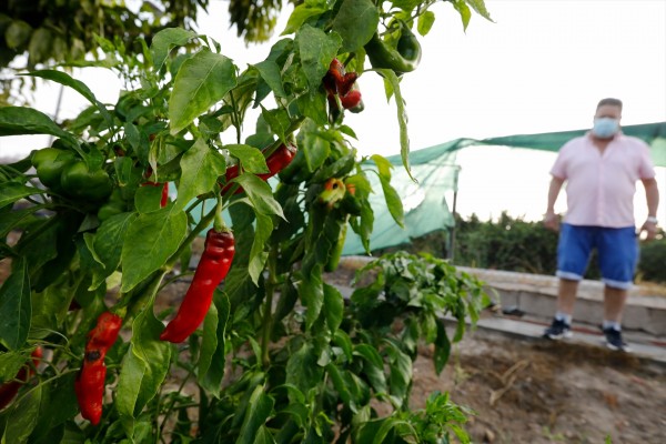 Recuperar la Huerta de Europa