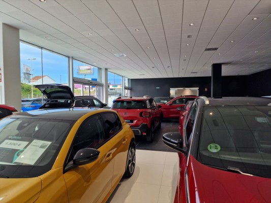 La venta de coches nuevos mantiene el pulso en la Región pese a la caída de mayo