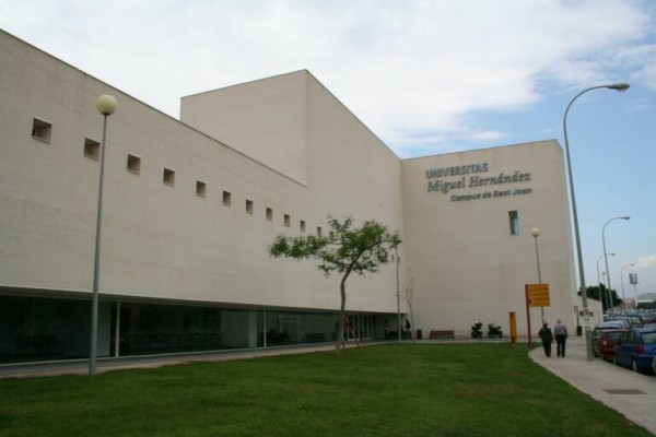 La UMH se sitúa entre las diez mejores universidades españolas en Medicina, según un ranking

