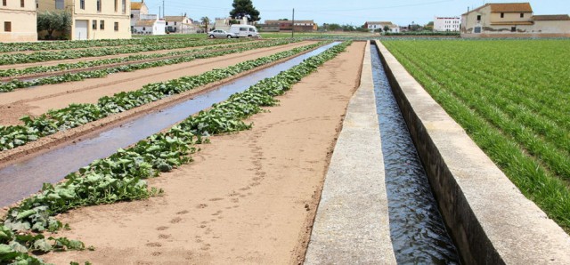 
Alertan de la contaminación de las aguas subterráneas en la huerta valenciana por los fertilizantes