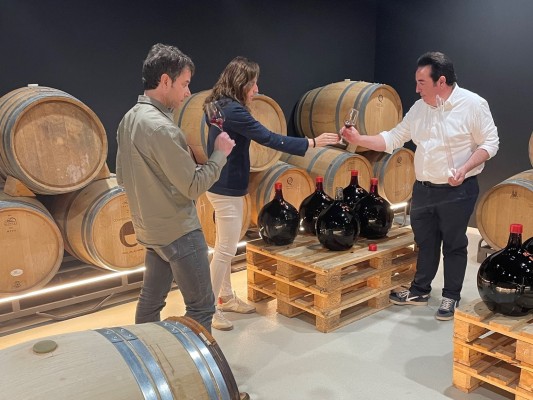 La Cooperativa de Viver registra las variedades de uva antigua Pampolat y Mondragón  
