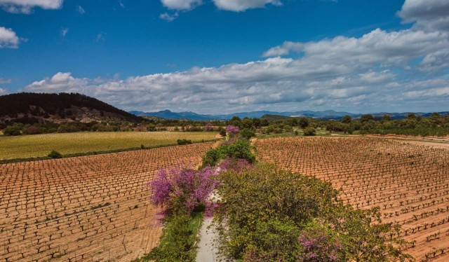 La Región promociona sus vías verdes para atraer al turista alemán