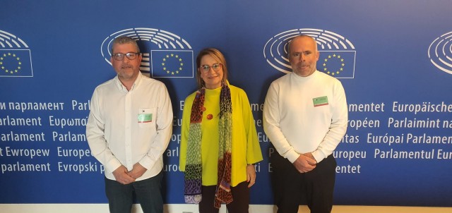 Bruselas endurece las inspecciones a las naranjas de Egipto y aumenta los controles al 30%  