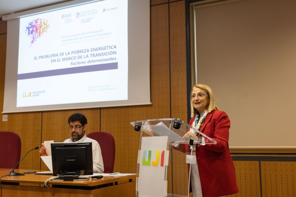 El Comité Económico y Social valenciano aboga por una transición justa usando la eficiencia energética