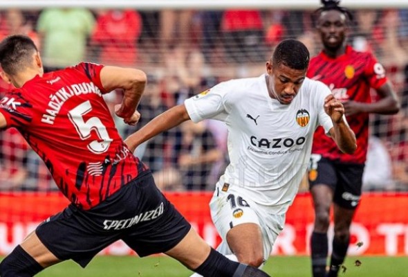 Lino: 