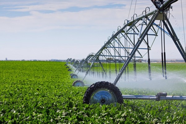 El Gobierno lanza una segunda convocatoria de subvenciones del Perte del agua por 200 millones