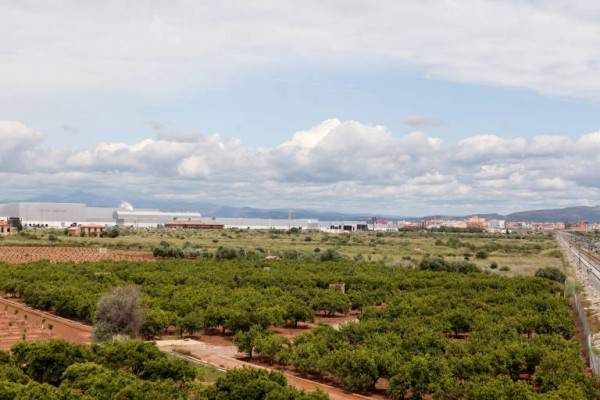 Vila-real invertirá  580.000 euros en el mantenimiento de vías urbanas y agrícolas 