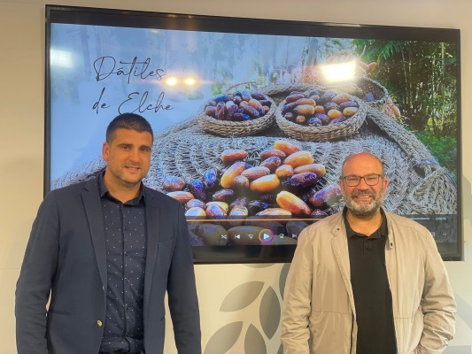Elche impulsa una campaña informativa para      fomentar el consumo del dátil