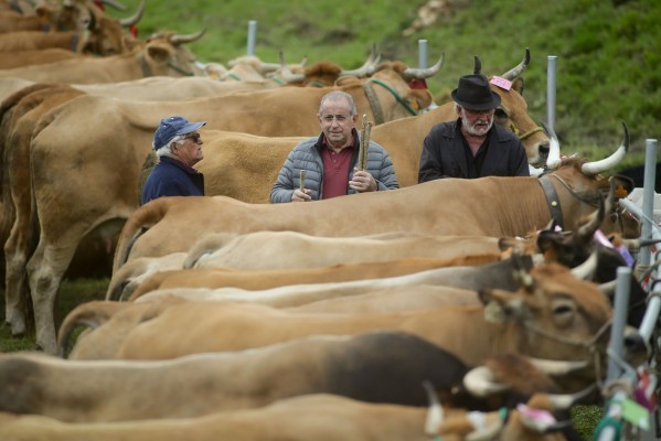 El Registro de Contratos Alimentarios

