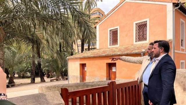 El PP de Elche presenta su proyecto para el palmeral del siglo XXI